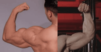 Biceps definido